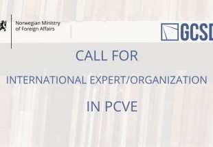 call for International Experts/Organisations in PCVE